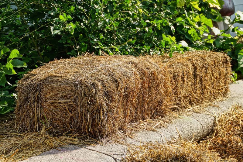 Jardinería sin excavación:15 ideas para un suelo sano y tranquilo 