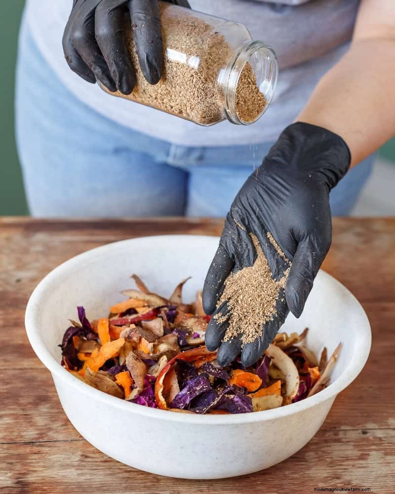 Jardinería sin excavación:15 ideas para un suelo sano y tranquilo 