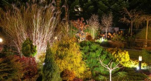 HOA-Gartenregeln:15 Merkmale, die häufig gegen Vorschriften verstoßen 