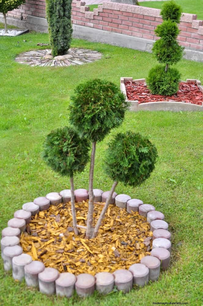HOA-Gartenregeln:15 Merkmale, die häufig gegen Vorschriften verstoßen 
