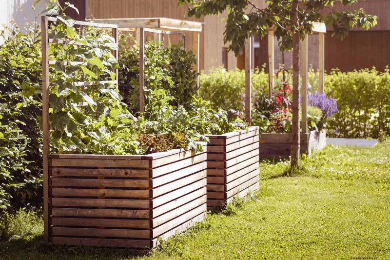 HOA-Gartenregeln:15 Merkmale, die häufig gegen Vorschriften verstoßen 