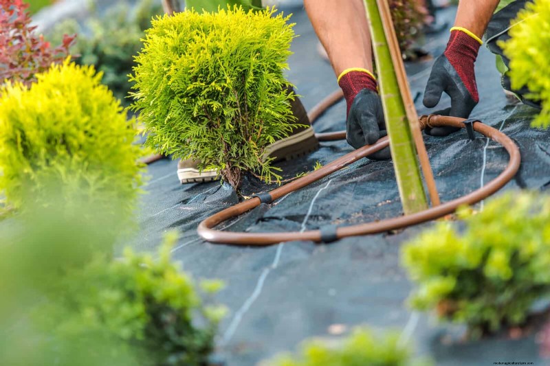 HOA-Gartenregeln:15 Merkmale, die häufig gegen Vorschriften verstoßen 