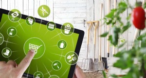 11 Betaalbare gebruikte tuingereedschappen:bespaar geld en laat een prachtige tuin groeien 