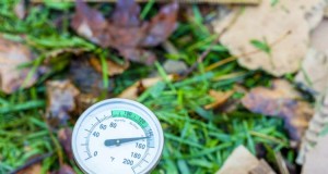 Kompostieren bei Hitzewellen:Expertentipps für einen blühenden Haufen 