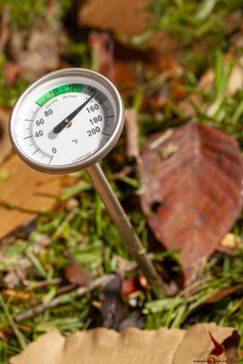 熱波の中での堆肥化:堆肥を成長させるための専門家のヒント 