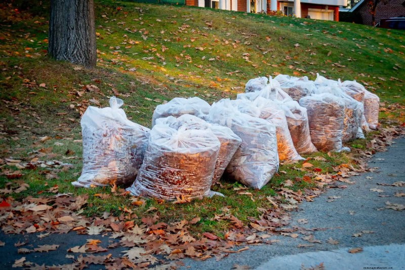 Leyes de compostaje en el patio trasero:¿es legal en su área? 