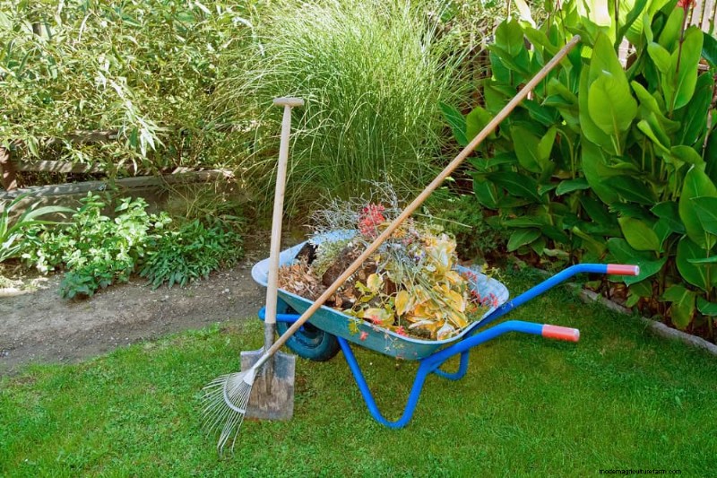 Gartenplanung im Herbst:Ihr Leitfaden für eine reiche Herbsternte 