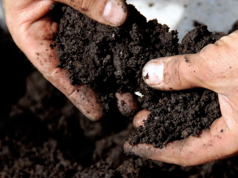 Gartenplanung im Herbst:Ihr Leitfaden für eine reiche Herbsternte 