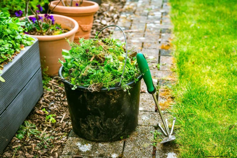 Gartenplanung im Herbst:Ihr Leitfaden für eine reiche Herbsternte 