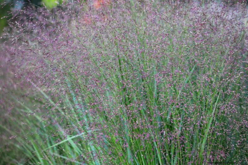 Gartenplanung im Herbst:Ihr Leitfaden für eine reiche Herbsternte 