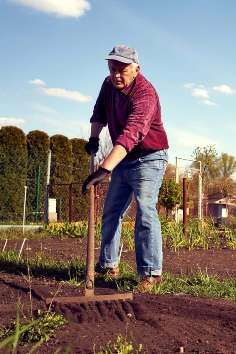 Gartenplanung im Herbst:Ihr Leitfaden für eine reiche Herbsternte 