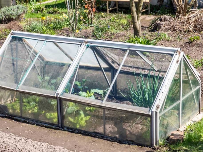 Gartenplanung im Herbst:Ihr Leitfaden für eine reiche Herbsternte 