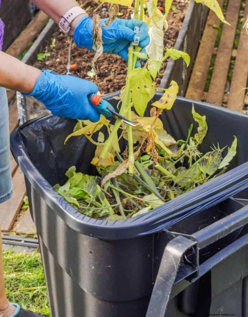 Gartenplanung im Herbst:Ihr Leitfaden für eine reiche Herbsternte 