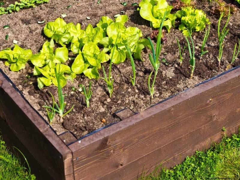 Gartenplanung im Herbst:Ihr Leitfaden für eine reiche Herbsternte 