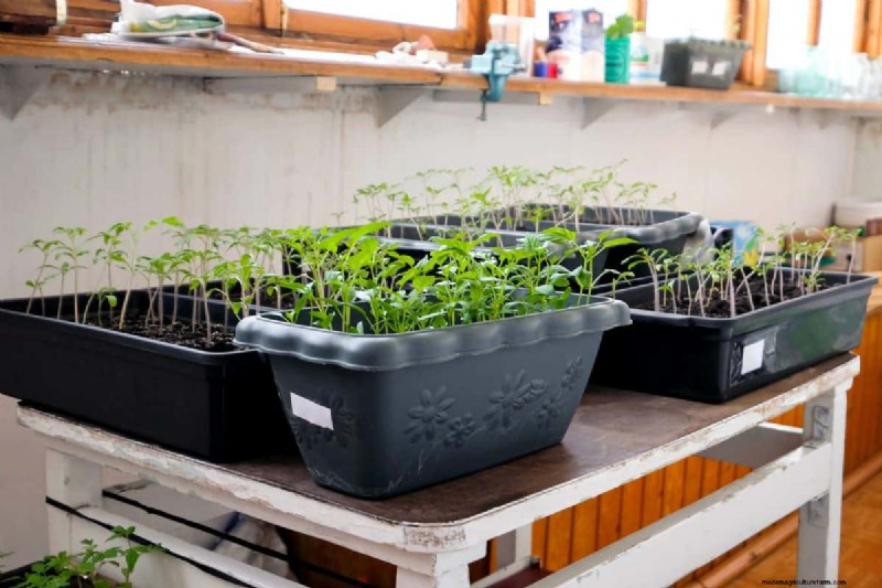Kreative Garten-Hacks:15 recycelte Gegenstände für einen nachhaltigen Garten 