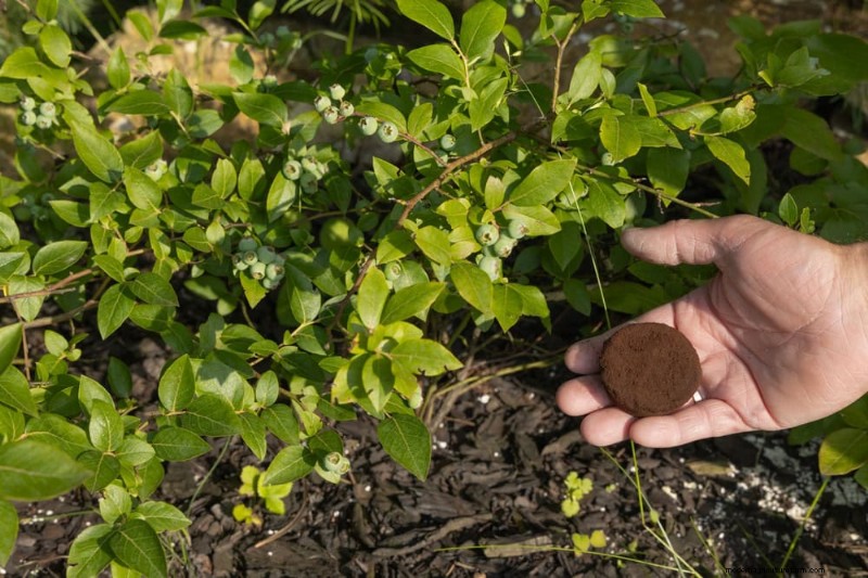 Kreative Garten-Hacks:15 recycelte Gegenstände für einen nachhaltigen Garten 