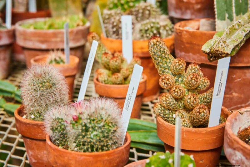 Kreative Garten-Hacks:15 recycelte Gegenstände für einen nachhaltigen Garten 