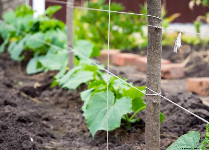 Kreative Garten-Hacks:15 recycelte Gegenstände für einen nachhaltigen Garten 