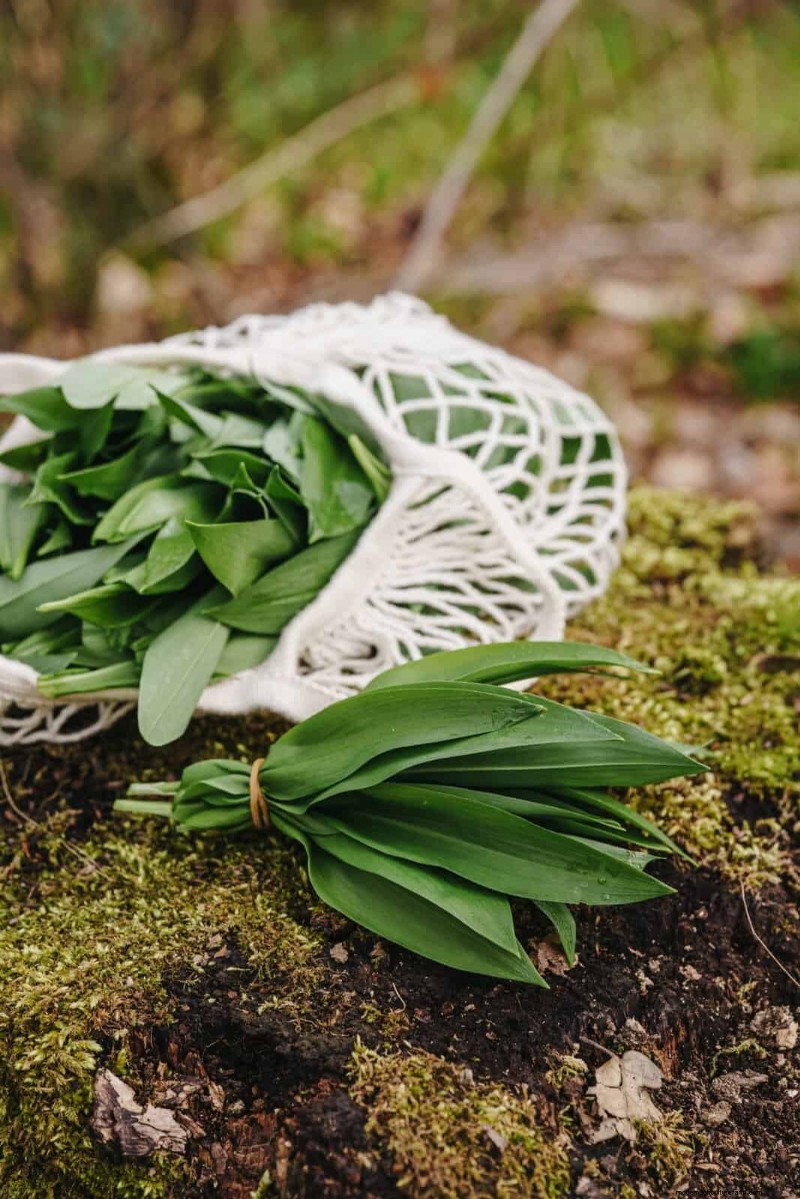 Kreative Garten-Hacks:15 recycelte Gegenstände für einen nachhaltigen Garten 