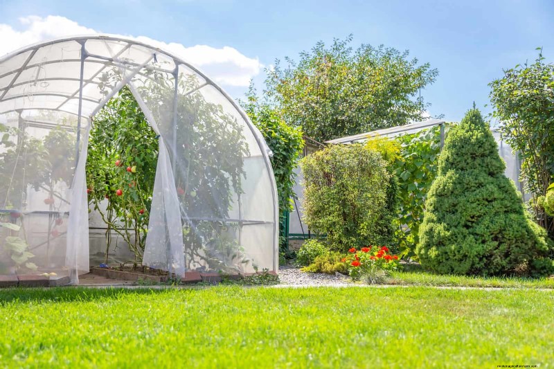 Beste schaduwoplossingen voor delicate planten:bescherm uw tuin 