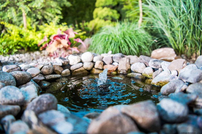 Beste schaduwoplossingen voor delicate planten:bescherm uw tuin 