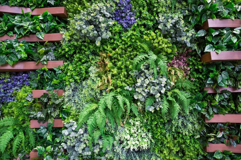 Beste schaduwoplossingen voor delicate planten:bescherm uw tuin 