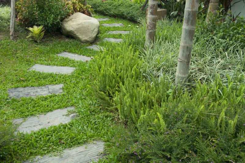 Beste schaduwoplossingen voor delicate planten:bescherm uw tuin 
