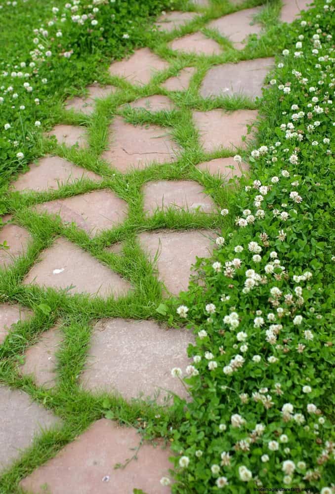 Vermijd kostbare fouten:9 buitenprojecten die geen vruchten afwerpen [betere alternatieven] 
