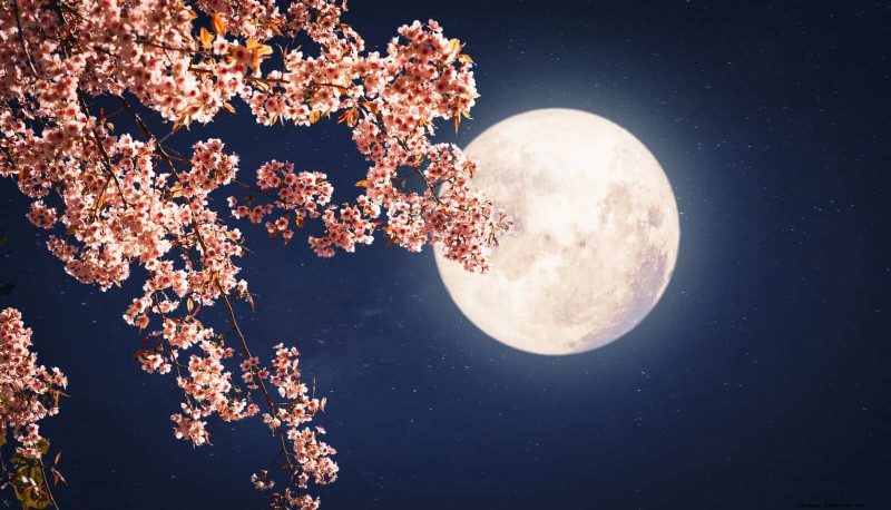 Ciptakan Taman Bulan yang Menakjubkan:Kecantikan &Desain Malam Hari 