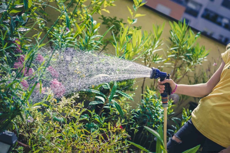 Master Plant Watering:15 veelvoorkomende fouten en hoe u deze kunt oplossen 