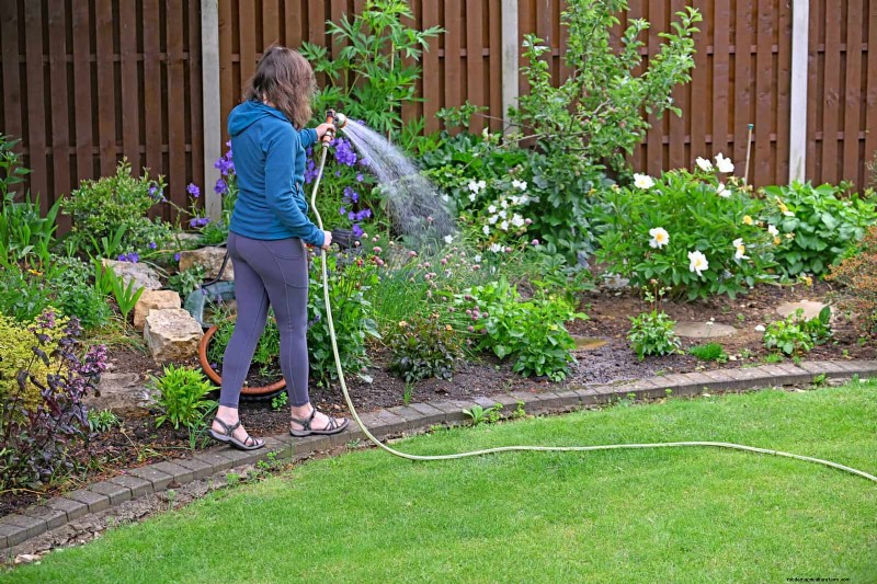 Master Plant Watering:15 veelvoorkomende fouten en hoe u deze kunt oplossen 