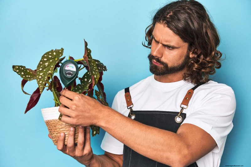 Master Plant Watering:15 veelvoorkomende fouten en hoe u deze kunt oplossen 