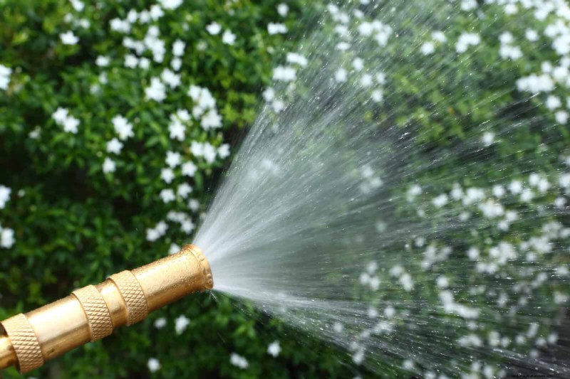 Master Plant Watering:15 veelvoorkomende fouten en hoe u deze kunt oplossen 
