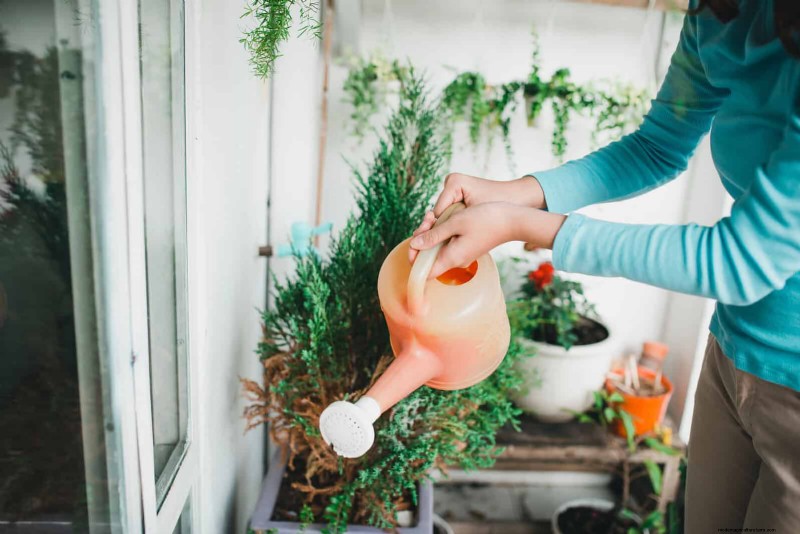 Master Plant Watering:15 veelvoorkomende fouten en hoe u deze kunt oplossen 