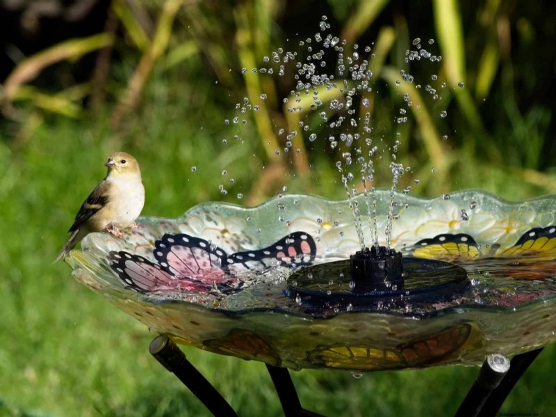 Eenvoudig tuinieren en landschapsarchitectuur in de zomer:21 projecten met weinig inspanning 