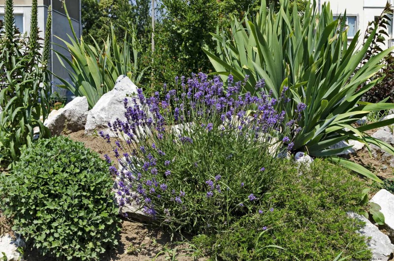 Eenvoudig tuinieren en landschapsarchitectuur in de zomer:21 projecten met weinig inspanning 