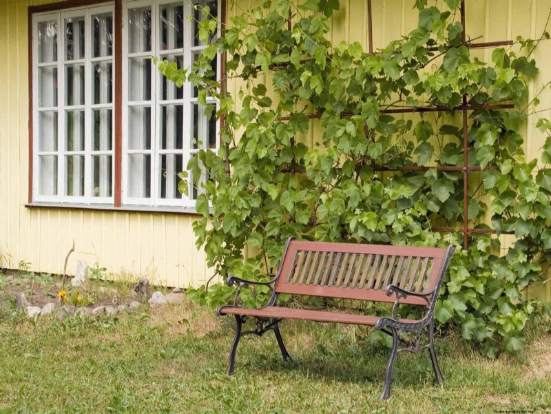 Eenvoudig tuinieren en landschapsarchitectuur in de zomer:21 projecten met weinig inspanning 