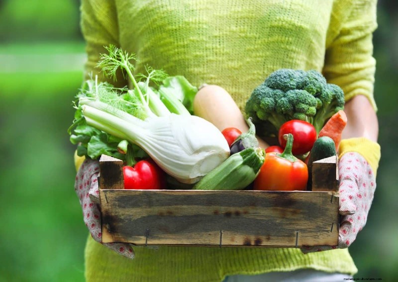 Groenten planten in juli:wat u nog kunt laten groeien en hoe 