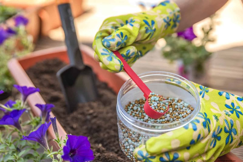 Gartenpflege im Juli:14 wesentliche Aufgaben für einen blühenden Sommergarten 
