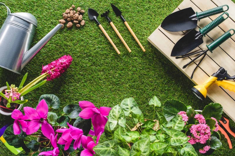 Gartenpflege im Juli:14 wesentliche Aufgaben für einen blühenden Sommergarten 