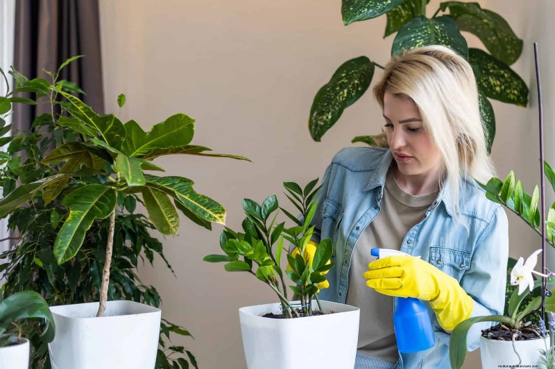Problemen met planten oplossen:10 onverwachte oorzaken van plantenproblemen 