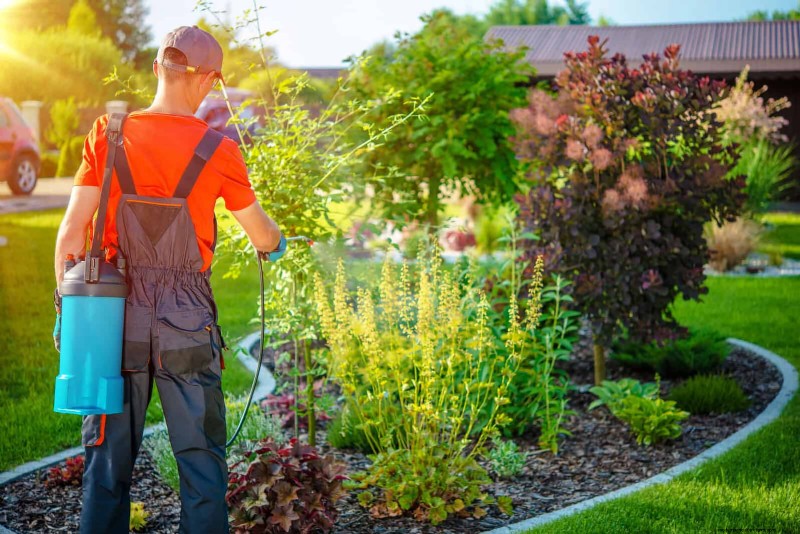Problemen met planten oplossen:10 onverwachte oorzaken van plantenproblemen 