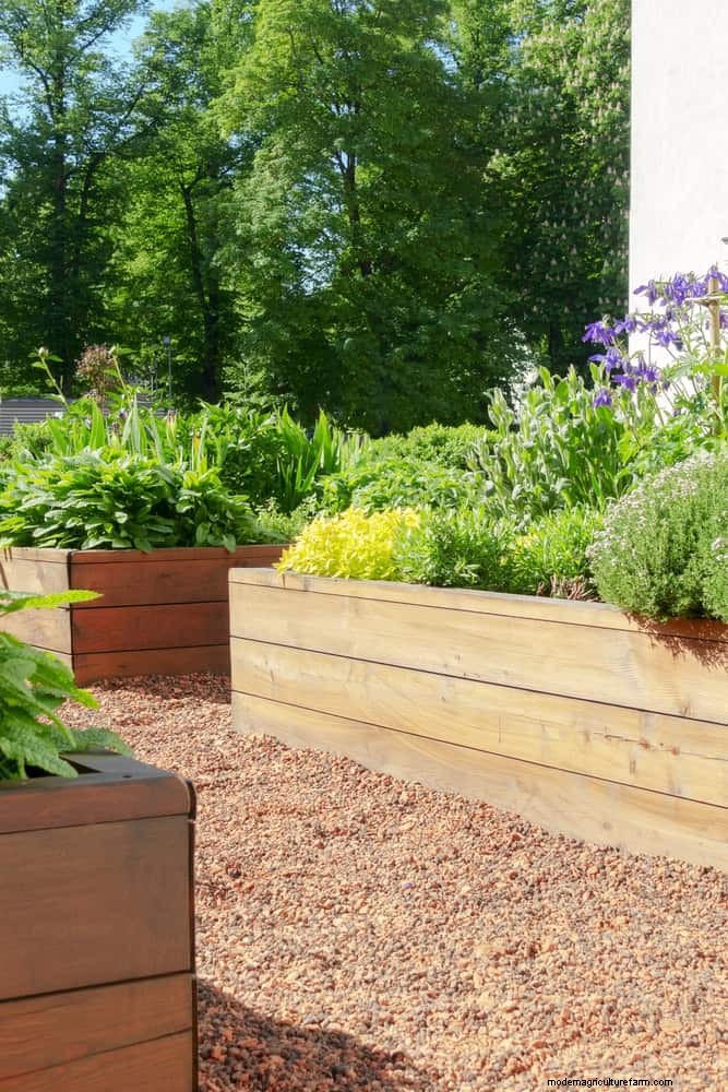 Problemen met planten oplossen:10 onverwachte oorzaken van plantenproblemen 