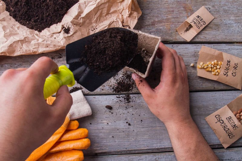 Problemen met planten oplossen:10 onverwachte oorzaken van plantenproblemen 
