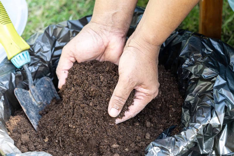 Problemen met planten oplossen:10 onverwachte oorzaken van plantenproblemen 