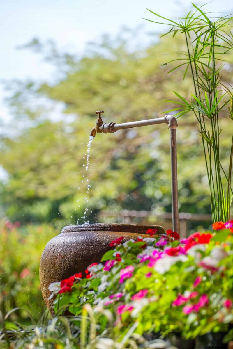 Problemen met planten oplossen:10 onverwachte oorzaken van plantenproblemen 