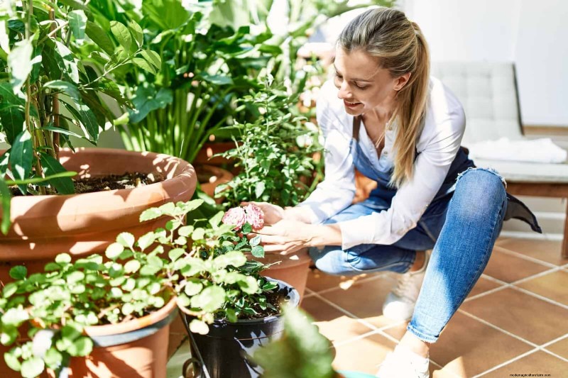 Problemen met planten oplossen:10 onverwachte oorzaken van plantenproblemen 