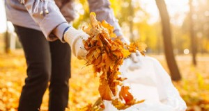 11 gratis mulchalternatieven:bespaar geld en verbeter uw tuin 
