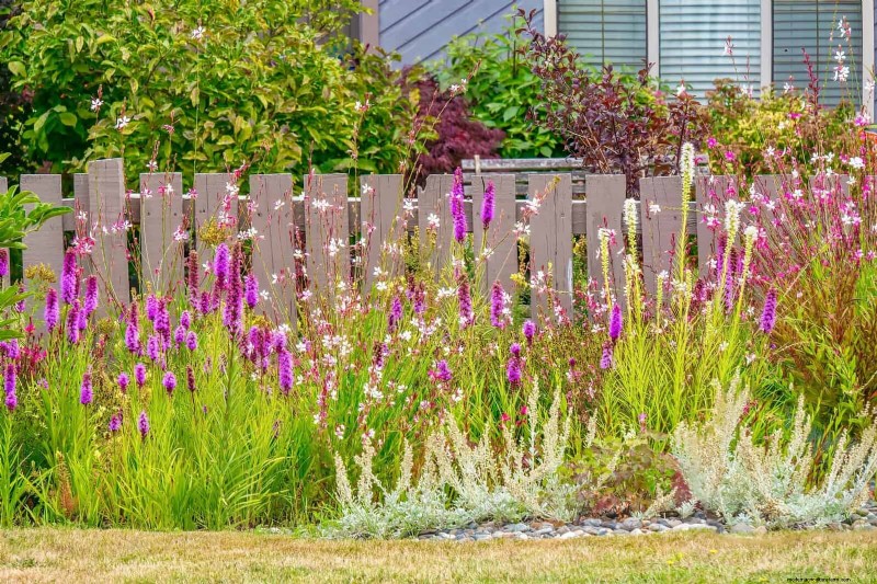 11 häufige Gartenpflanzen, die Ihren Beeten schaden können – Tipps zur Vorbeugung 