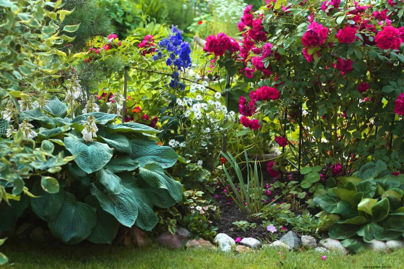 Natürliche Düngemittel zum Selbermachen:14 Haushaltsgegenstände für einen blühenden Garten 